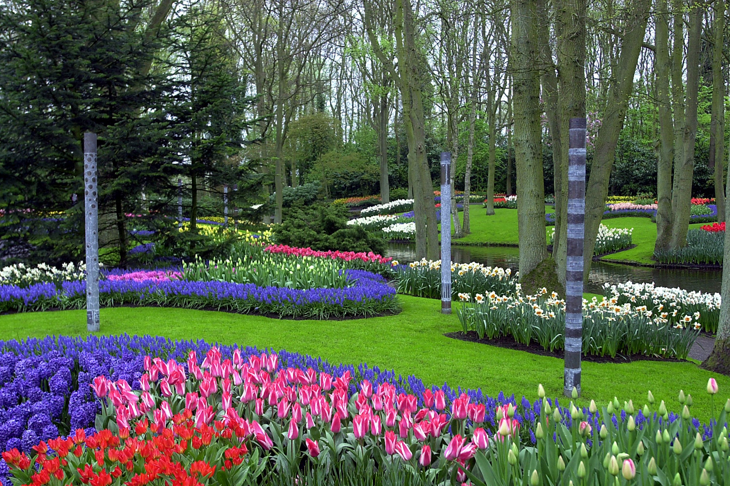 Keukenhof 3